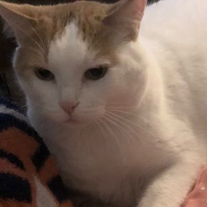 Meet your Posher, Donna